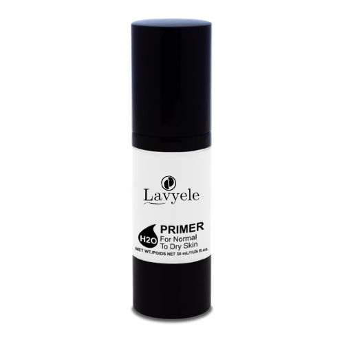 H2O Primer